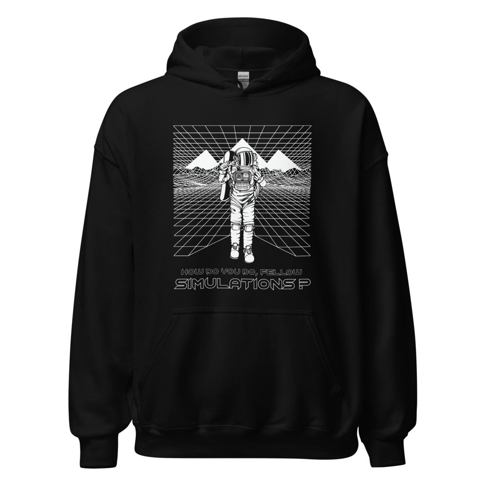 How Do You Do, Fellow Simulations? Hoodie