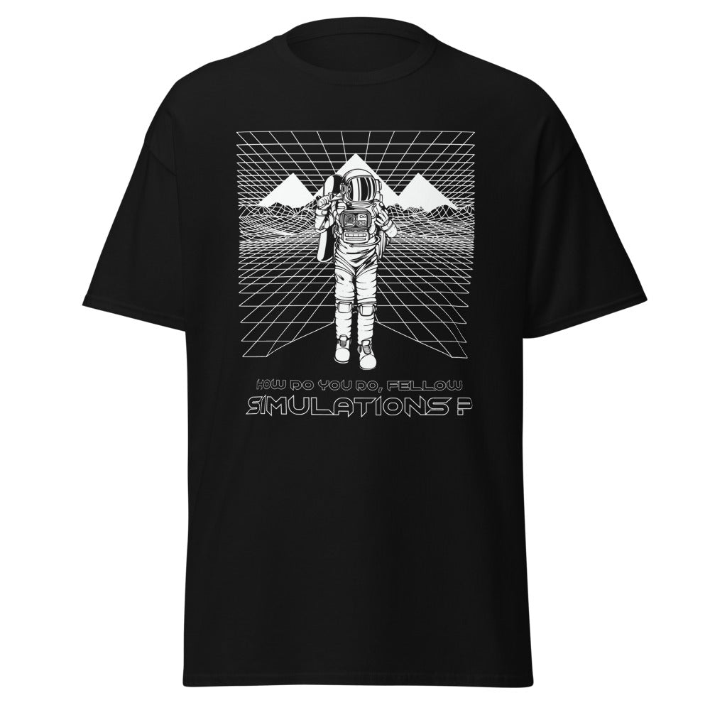 How Do You Do, Fellow Simulations? T-Shirt